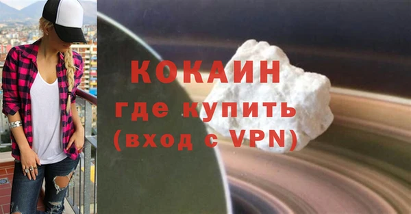 шишки Гусь-Хрустальный