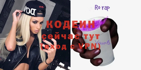 шишки Гусь-Хрустальный