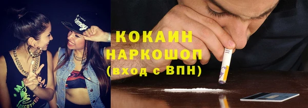 шишки Гусь-Хрустальный