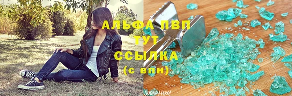 шишки Гусь-Хрустальный