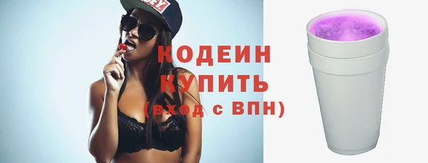 шишки Гусь-Хрустальный