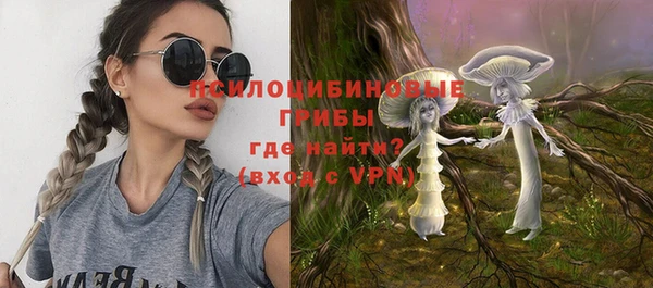 шишки Гусь-Хрустальный