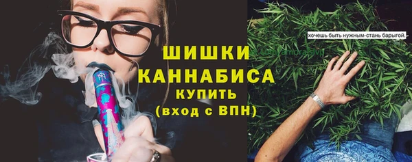 шишки Гусь-Хрустальный