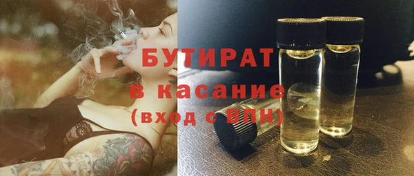 шишки Гусь-Хрустальный