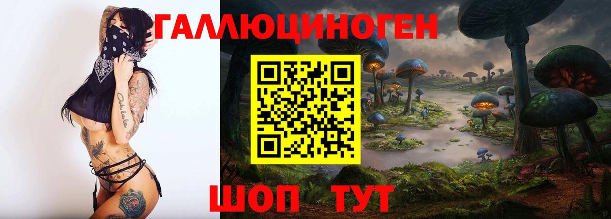 Галлюциногенные грибы Cubensis  Вход с VPN  Рузаевка 