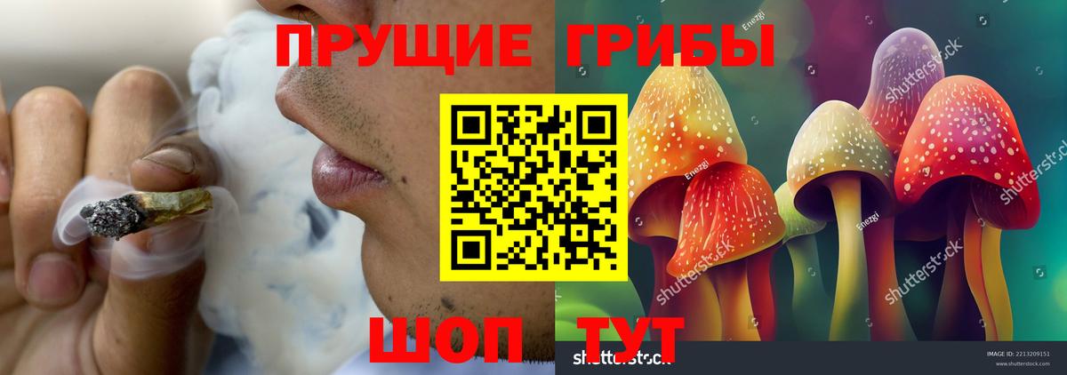 Псилоцибиновые грибы GOLDEN TEACHER Рузаевка